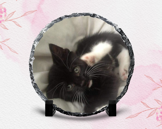 Personalised pet slate