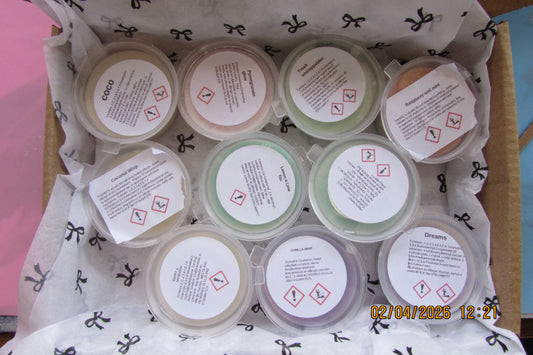 Box of 10 x 1oz Shot Pot Wax Melts