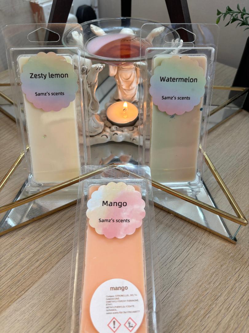 FRUITY SCENTED WAX MELT BARS  APPROX 50G CLAMSHELL BAR